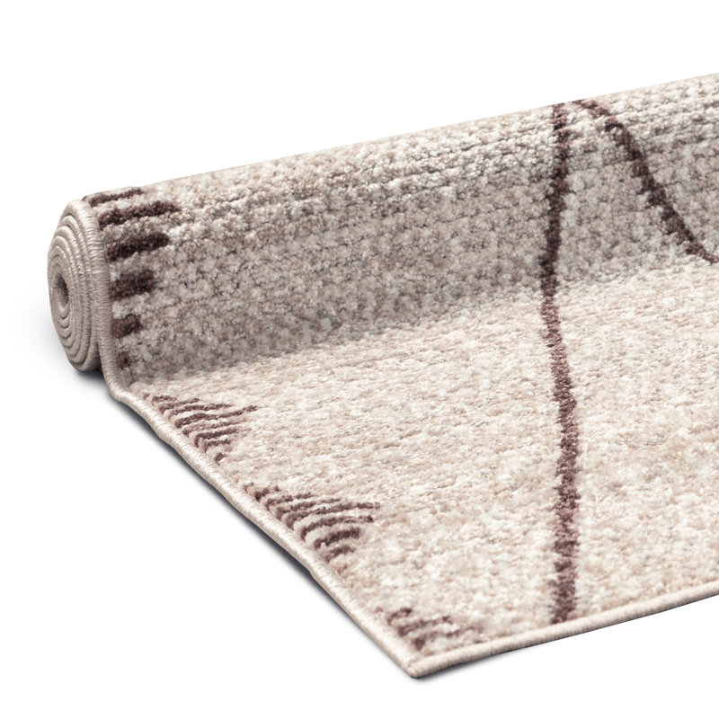 Leopoldo Vintage Look Area Rug, Beige/Brown, Rectangle 80 x 150cm
