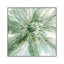 Macro Sage Flower I by Carol Robinson - Wrapped Canvas Painting-343693092-343693089