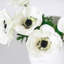 Real Touch Anemone Faux Floral-702580128