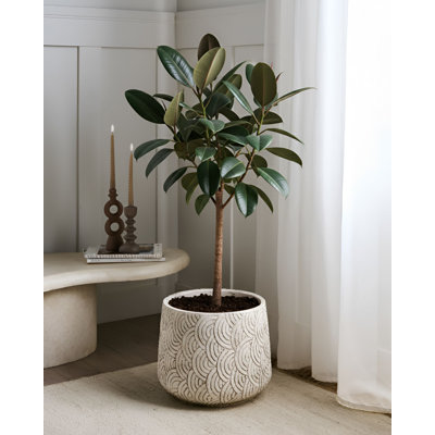 Pot Planter