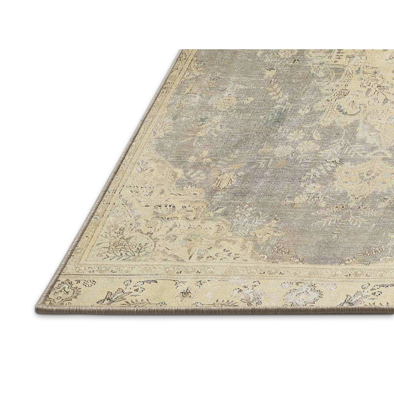 Oriental Indoor Rug, Rectangle 7' x 10'
