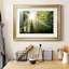 Light and Trees II - Photographie avec cadre-520607933-520607932