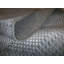 Pagola Area Rug in Blue