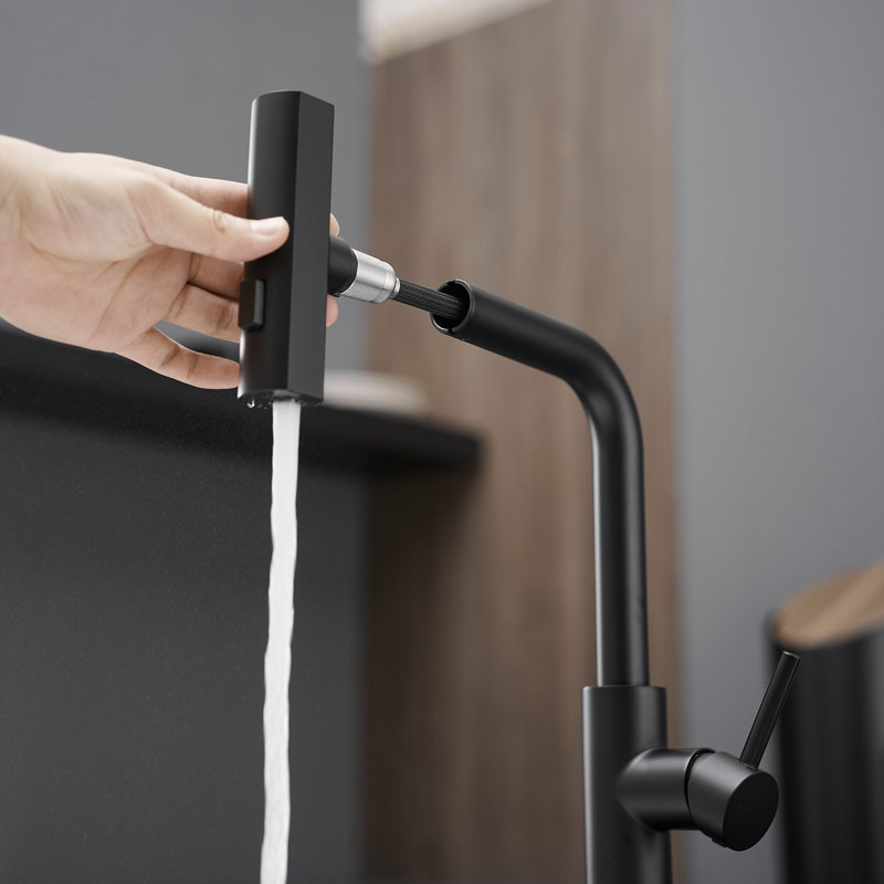 Pull Out 304 Stainless Steel Kitchen Faucet, Matte Black