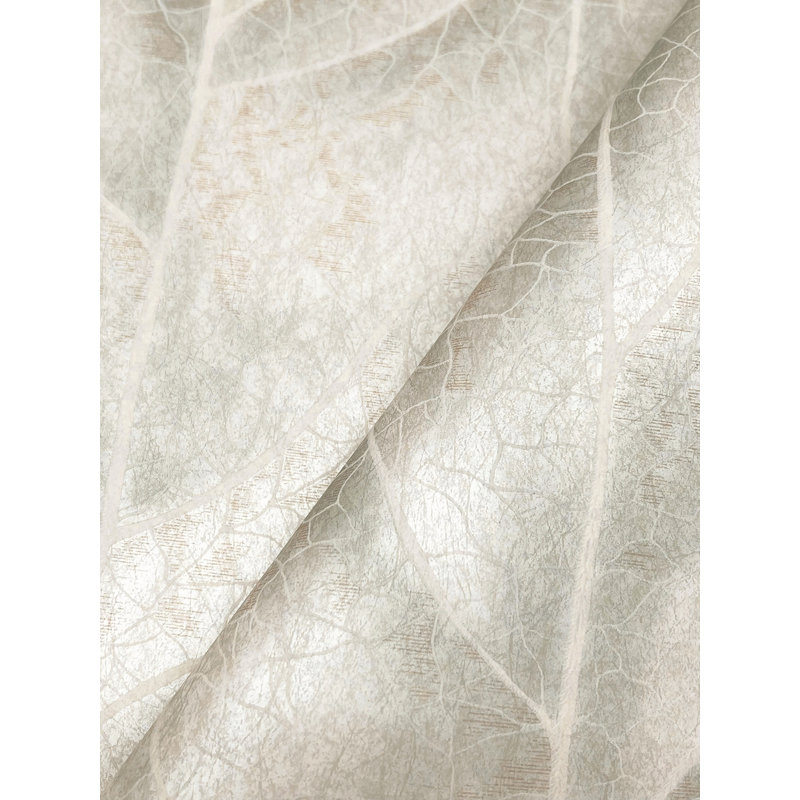 Papier peint Dicot, Vert