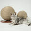 Grattoir Rockdale Cactus Ball-1922824132-1922824135