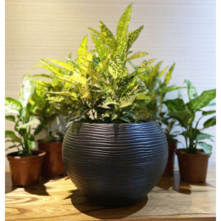 Florence Pot Planter