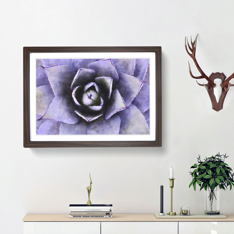 Lilac Succulent Plant - Picture Frame Graphic Art Print, Walnut Framed, 62cm H x 87cm W x 2cm D
