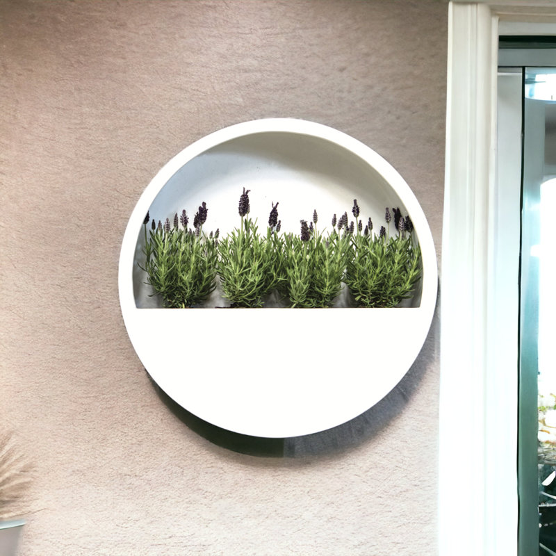 Wall Planter, 14" H x 5" W x 5" D