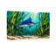 Scène d'animaux sous l'eau avec espadon et ruppie maritime-1059586789-1059586714-1059586717