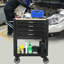 30.3'' W 4 -Drawer Job Site Storage with Wheels