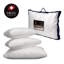 Oreiller en duvet d'oie Kittredge-176573774