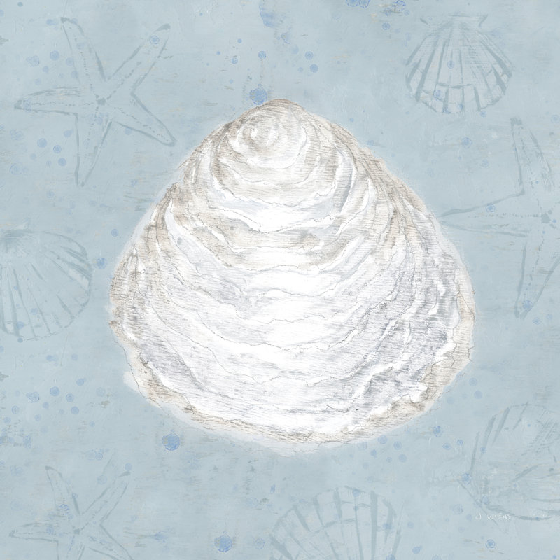 Serene Shells I by James Wiens - Wrapped Canvas Painting, 51cm H x 51cm W