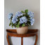 Green Double Hydrangea 36"-1746310716