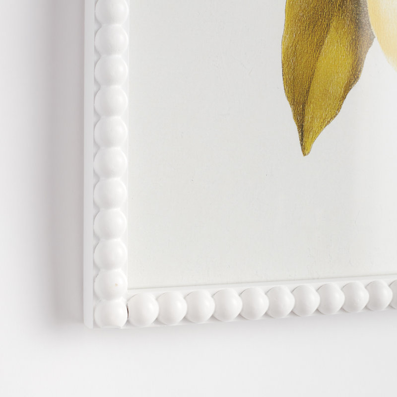 ÉTUDE DE DÉCOUPAGE DE LEMON, ENSEMBLE DE 3