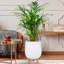 Honeycomb Style Egg Planter with Feet-57886062-57886056