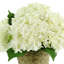 Hydrangeas Arranged in Straw Grass Pot