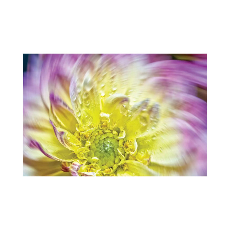 Spin Up Of A Yellow Dahlia by Glauco Meneghelli - Wrapped Canvas Print, 20.32cm H x 30.48cm W x 1.905cm D