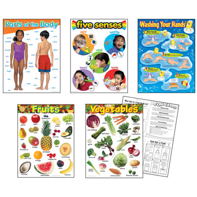 Healthy Living Learning Charts Combo Pack