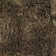 Petrina Performance Indoor Rug