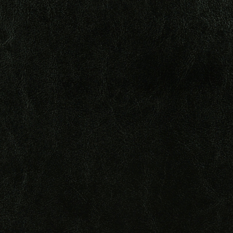 Warwick Black Upholstered Panel Eastern King Bed, Black, King