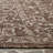 Cinsere Performance Oriental Indoor/Outdoor Area Rug-412623835