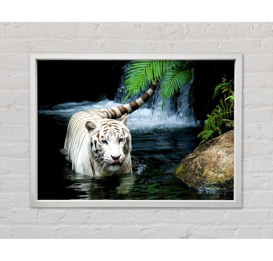 White Tiger Beautiful - Einzelner Bilderrahmen Kunstdrucke auf Leinwand