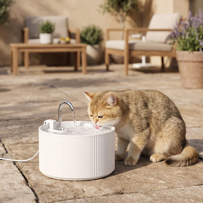 Pet Water Fountain