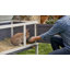Rabbit, Guinea Pig, Chinchilla Hutch