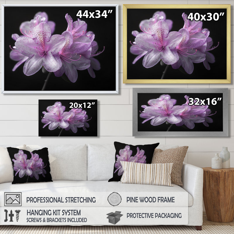 Ruchodendron mauve et noir soufflant vents - art mural rhododendron, H 24 po x l 32 po, Cadre flottant noir