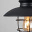 26.5cm H Metal Novelty Pendant Shade ( Spider )-23659971