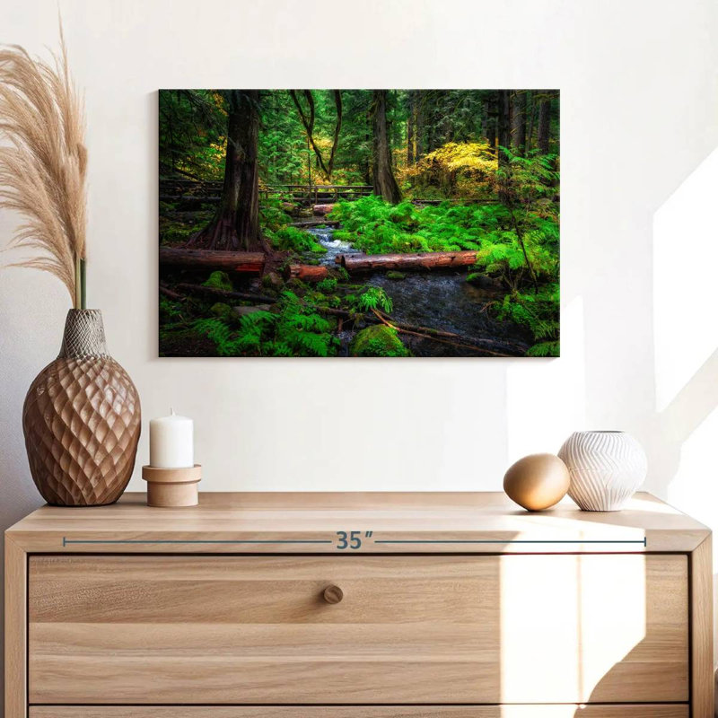 Ruisseau Alvord Willamette National Forest, H 16 po x l 24 po