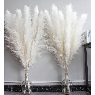 Pampa Arrangement
