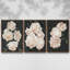 «Nighttime Flora I», ensemble de 3 toiles encadrées-97709121-97709127