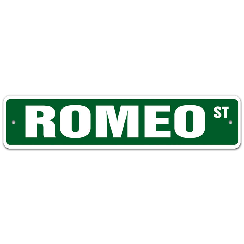 Plaque de rue, H 6 po x l 24 po x P 0,1 po