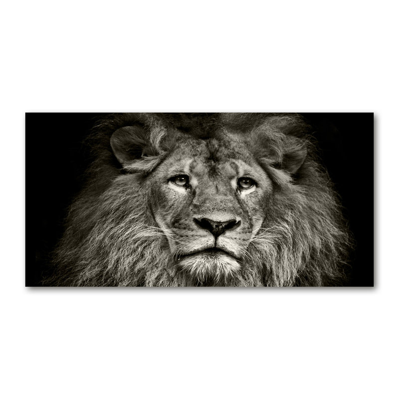 Lion - No Frame Print on Glass, Canvas, 50cm H x 100cm W x 2cm D