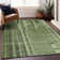  Machine Washable Indoor/Outdoor Chayden ACN1063 Rug