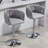 360° Fabric cover Swivel Bar Stools Set of 2, Adjustable Counter Height Bar Chairs with Woven Back & Footrest,Silver chromed Bar Stools for Kitchen Island, Cafe, Pub-820814076