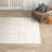 Alzata Machine Woven Gray/Ivory Area Rug-364913011
