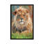 « lion front », impression sur toile-72415995-72415993-72415994