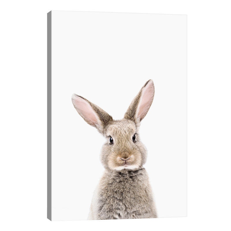 Baby Bunny - Wrapped Canvas Print, 101.6 cm H x 66.04 cm W x 3.175 cm D