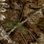 Tapis camouflage Realtree APX-103263547