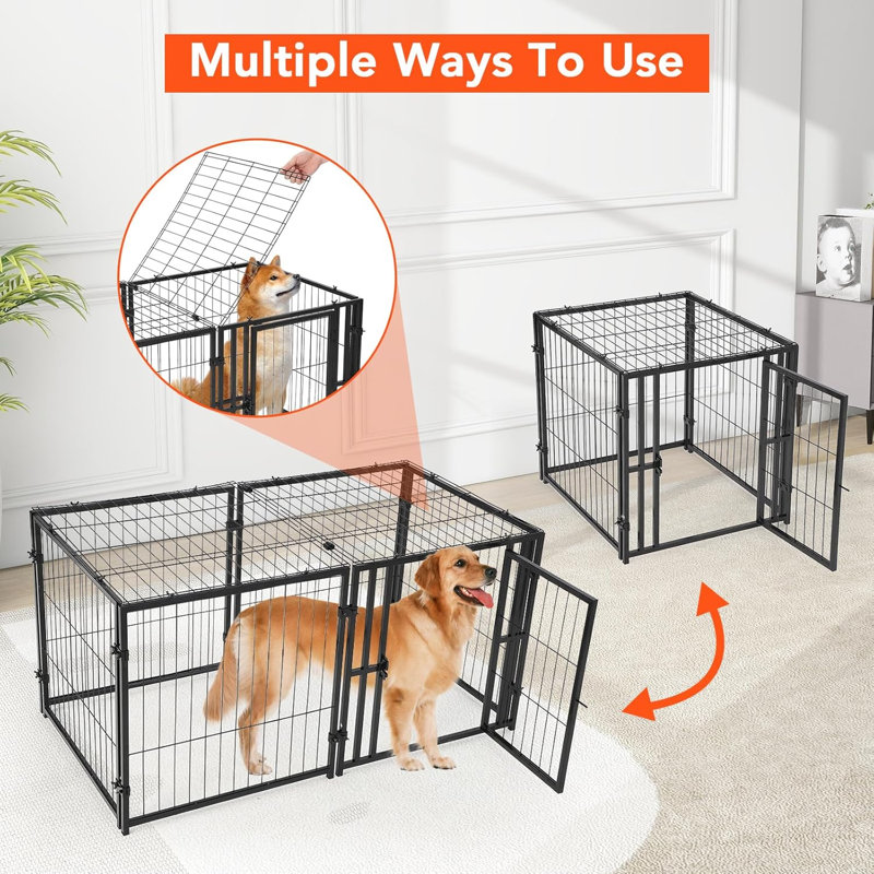 Dog House