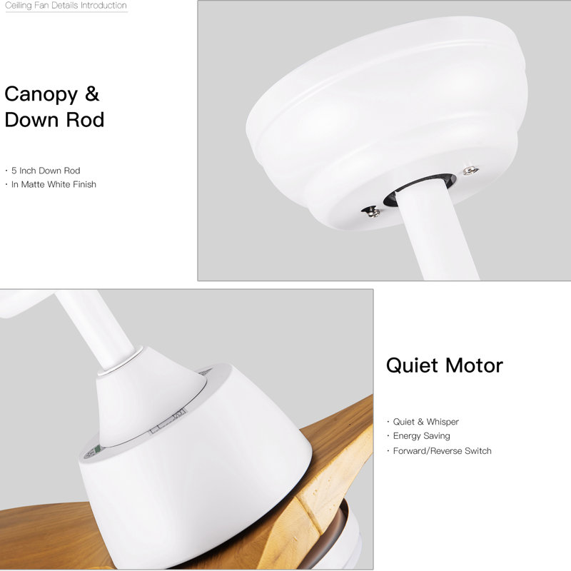 51.96'' Ceiling Fan with LED Lights