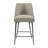 Rowlett Upholstered Counter Stool with Iron Frame