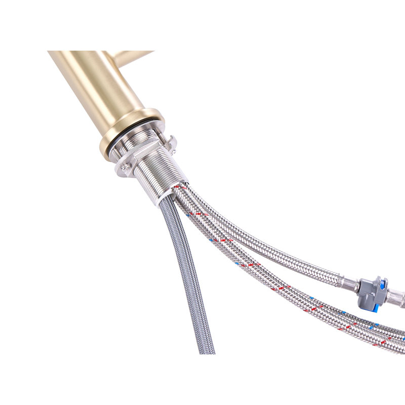 Kitchen Pull Out Tap Delanei Gold