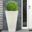 Plant Pot-804733378-788838800