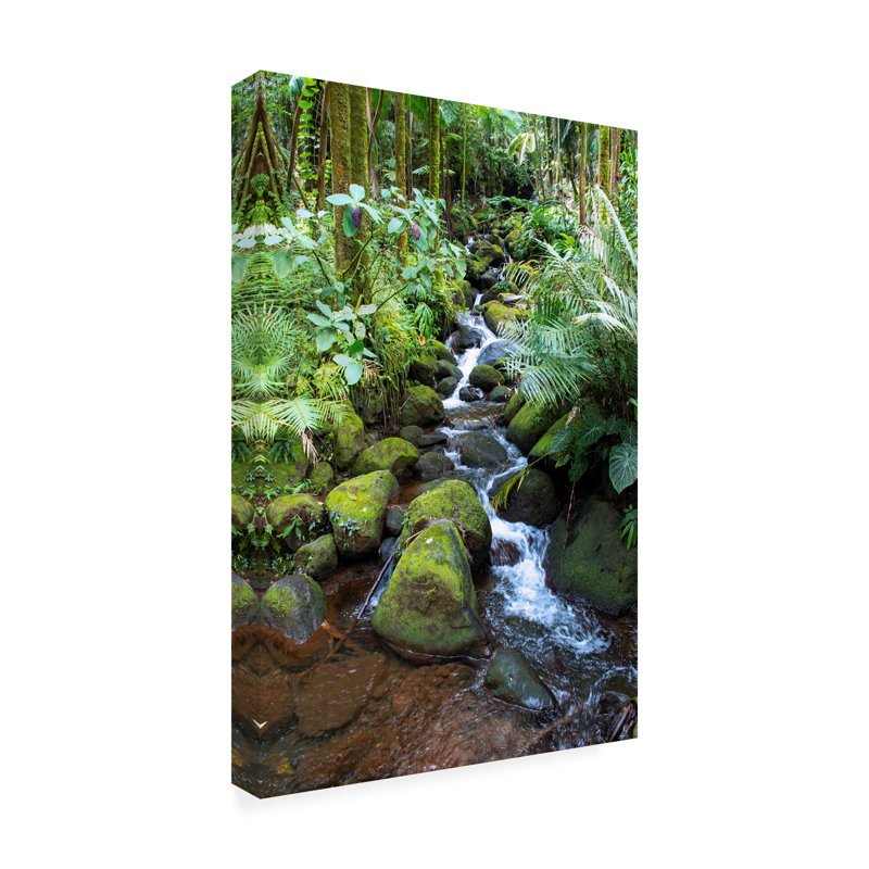 "Robert Forest", "Forêt tropicale", art sur toile, H 32 po x l 22 po x P 2 po