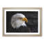 Bald Eagle Vol.2 - Picture Frame Painting-62686104-62686105