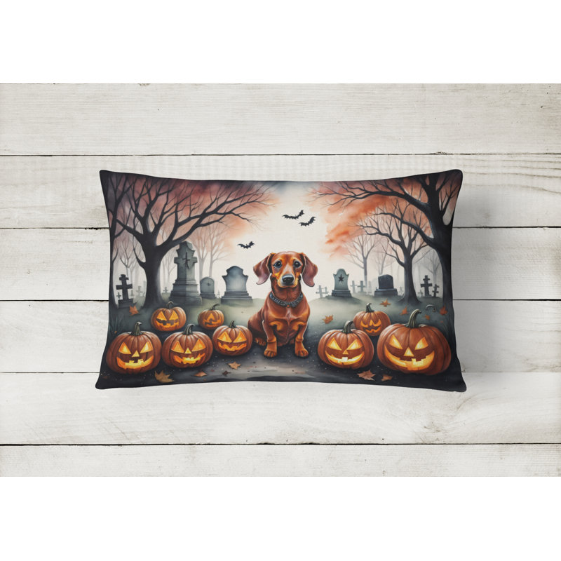 Other/No Pattern Outdoor Throw Pillow